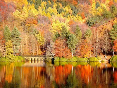 Осенняя зарисовка. Фотограф Вера Ра