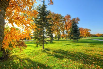 Тёплый и солнечный сентябрь 🍃🍁🍃#осень #сентябрь #россия #september  #autumn #autumntime #autumnmood #autumncolo… | Still life art, Flowers,  Still life photography