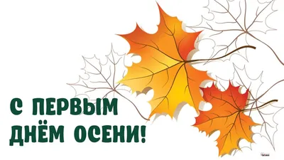 Золотая осень: синоптики рассказали, каким будет сентябрь в Тверской  области | ТОП Тверь новости