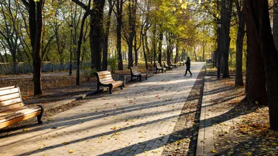 ТОП-10 направлений в России, где очень красиво осенью | Ассоциация  Туроператоров