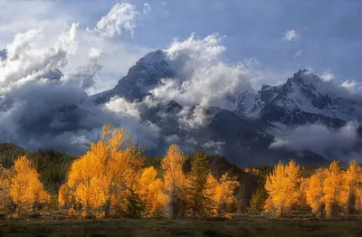 Картина "Осеннее небо над полем с деревом в горах " | Интернет-магазин  картин "АртФактор"