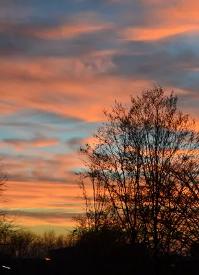 Осеннее небо над Рыбинкой. Фотограф Дмитриев Алексей