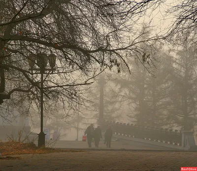 Утро осень - фото и картинки: 34 штук