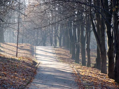 Картинка Осеннее утро на реке » Осень картинки скачать бесплатно (353 фото)  - Картинки 24 » Картинки 24 - скачать картинки бесплатно