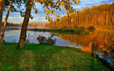 Осеннее утро. | Пикабу