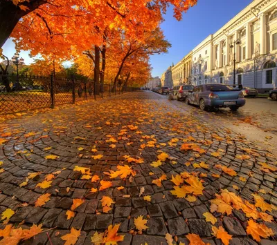 Пейзаж осеннего города рисунок - 72 фото