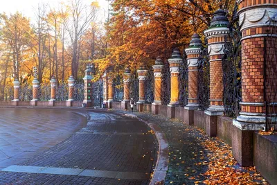 Арт природы: Фотографии осеннего города для iPhone | Осенний городской  пейзаж Фото №1387847 скачать