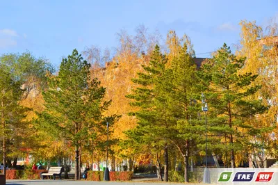 Пейзажи городского пространства. Подборка фотографий осеннего города |  Пикабу