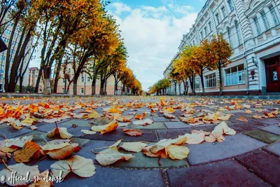 Осенний Смоленск. Фоторепортаж.. Новости. Пресс-центр. Официальный сайт  Администрации города-героя Смоленска