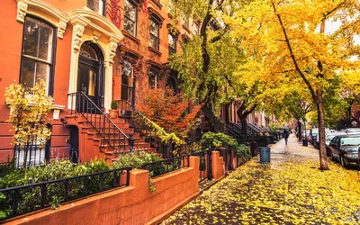 Осенний город | Fall colors, Fall, Scenes