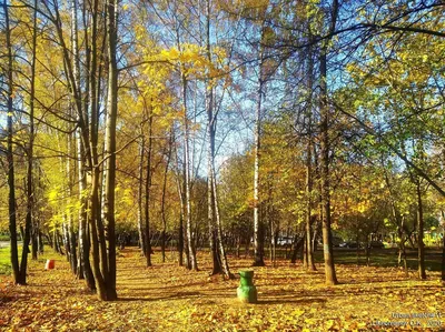 Осенний день в городе. И в живописи | Краюшкина. Поэзия. Живопись. | Дзен