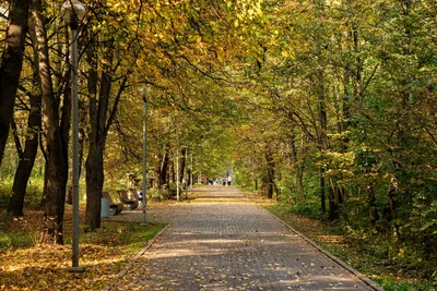 Осеннее утро в парке Галицкого – Коммерсантъ Краснодар