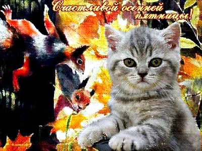 Счастливой осенней пятницы! - Осень - Повседневная анимация - Анимация -  SuperGif