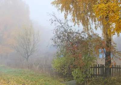 женщина в шляпе смотрит на осенний пейзаж реки, вид сзади женщины,  смотрящей на красивый осенний пейзаж, Hd фотография фото фон картинки и  Фото для бесплатной загрузки