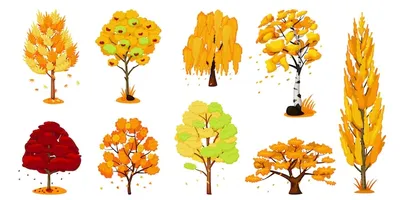 Дерево осень Изображения – скачать бесплатно на Freepik