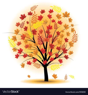 Деревья осенние png | Осенние деревья, Дерево, Растения