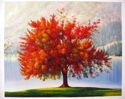 Цвет деревьев осенью - 65 фото