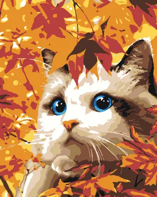 Autumn Cats - Осенние Котики. Photographer Etkind Elizabeth