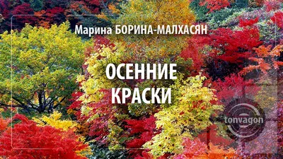 ОСЕННИЕ КРАСКИ | Стихи поэтов ТОН-ВАГОН | Дзен