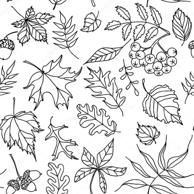 Осенние листья - мастер-класс (Скрапоголики) | Fall leaves coloring pages,  Fall leaf template, Leaf template printable