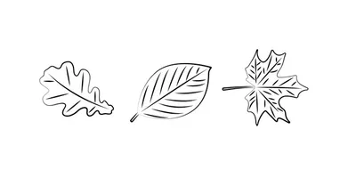 Раскраска Осенние листья 4 - Бесплатнo Pаспечатать или Cкачать Oнлайн