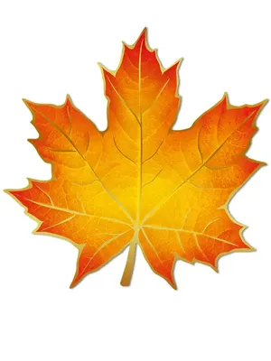 шаблоны осенних листьев для вырезания из бумаги A4 | Leaf template, Fall  leaf template, Fall crafts