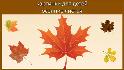 Мастер-класс «Осенние листья» для детей по рисованию в технике «клеевой  витраж» (20 фото). Воспитателям детских садов, школьным учителям и  педагогам - Маам.ру