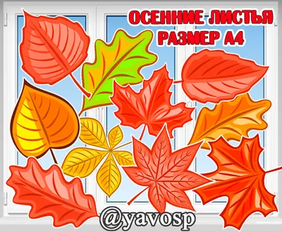 шаблоны осенних листьев для вырезания из бумаги A4 | Leaf template, Fall  leaf template, Autumn leaves