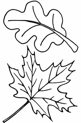 Шаблон осенних листиков – Трафарет Осенние листья –  – Центр  искусcтв и творчества Марьина … | Цвет осенних листьев, Осенние поделки,  Детские поделки