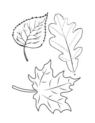 Осеннее из фоамирана - листья своими руками, 4 МК