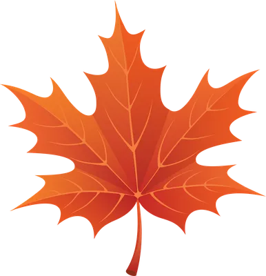 Скачать обои Осенние листья (Осень, Листья) для рабочего стола 1920х1080  (16:9) бесплатно, Фото Осенние листья Осень, Листья на рабочий стол. |   (Wallpapers).