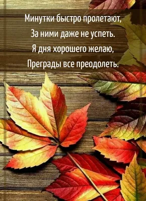 Картинки красивые осенние с пожеланиями доброго утра и доброго дня (55  фото) » Картинки и статусы про окружающий мир вокруг