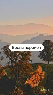 Картинка Разноцветные осенние листья » Осень картинки скачать бесплатно  (353 фото) - Картинки 24 » Картинки 24 - скачать картинки бесплатно