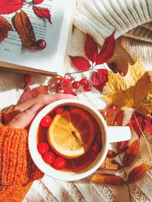 Autumn tea with lemon Осенний чай с лимоном | Осенние листья, Осень, Осенние  фотографии