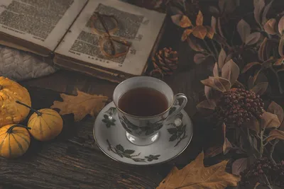 Чашка Чай Осень Осенние - Бесплатное фото на Pixabay - Pixabay