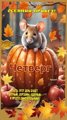 Идеи на тему «Четверг» (98) | четверг, доброе утро, утро четверга