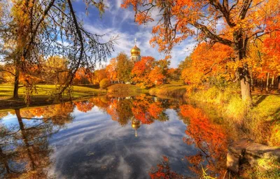 обои Hd природа лес озеро озеро осенью, фотографии природы обои, обои,  природа фон картинки и Фото для бесплатной загрузки