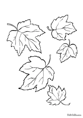 Осенний лист раскраска 