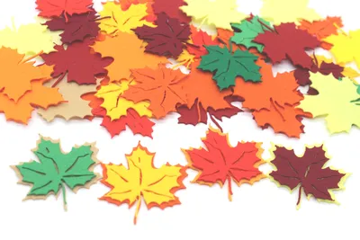 Осенние листья 3D модель - Скачать Растения на 