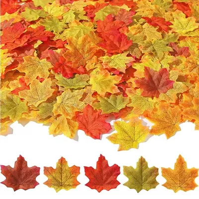 Красивые осенние листья и пустые карты на белом фоне :: Стоковая фотография  :: Pixel-Shot Studio