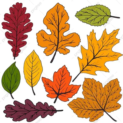 Красочные осенние листья - 55 фото
