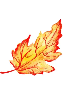 Осенние листья на земле (51 фото) - 51 фото