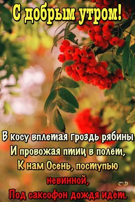 Осенний осеннего утречка с доброе утро картинка #409950 - Доброе утро  осеннее фото - скачать