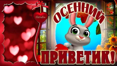 Осенний приветик от Вари! — обсуждение в группе "Кошки" | Птичка.ру