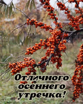 Идеи на тему «С добрым утром картинки» (63) | доброе утро, картинки,  открытки