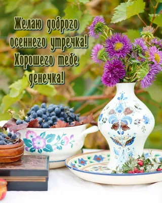 Идеи на тему «Утренние сообщения» (430) | утренние сообщения, доброе утро,  утренние цитаты