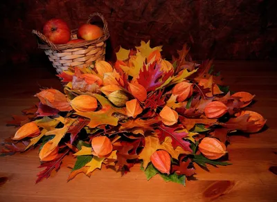 Осенний букет из осенних листьев - фото и картинки: 73 штук