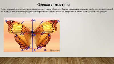 Симметрия картинки - 66 фото