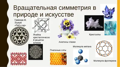 Математика. Продолжение следует... — профиль пользователя в Шедевруме