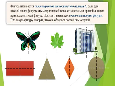 Геометрическая жизнь Государственный Дарвиновский музей